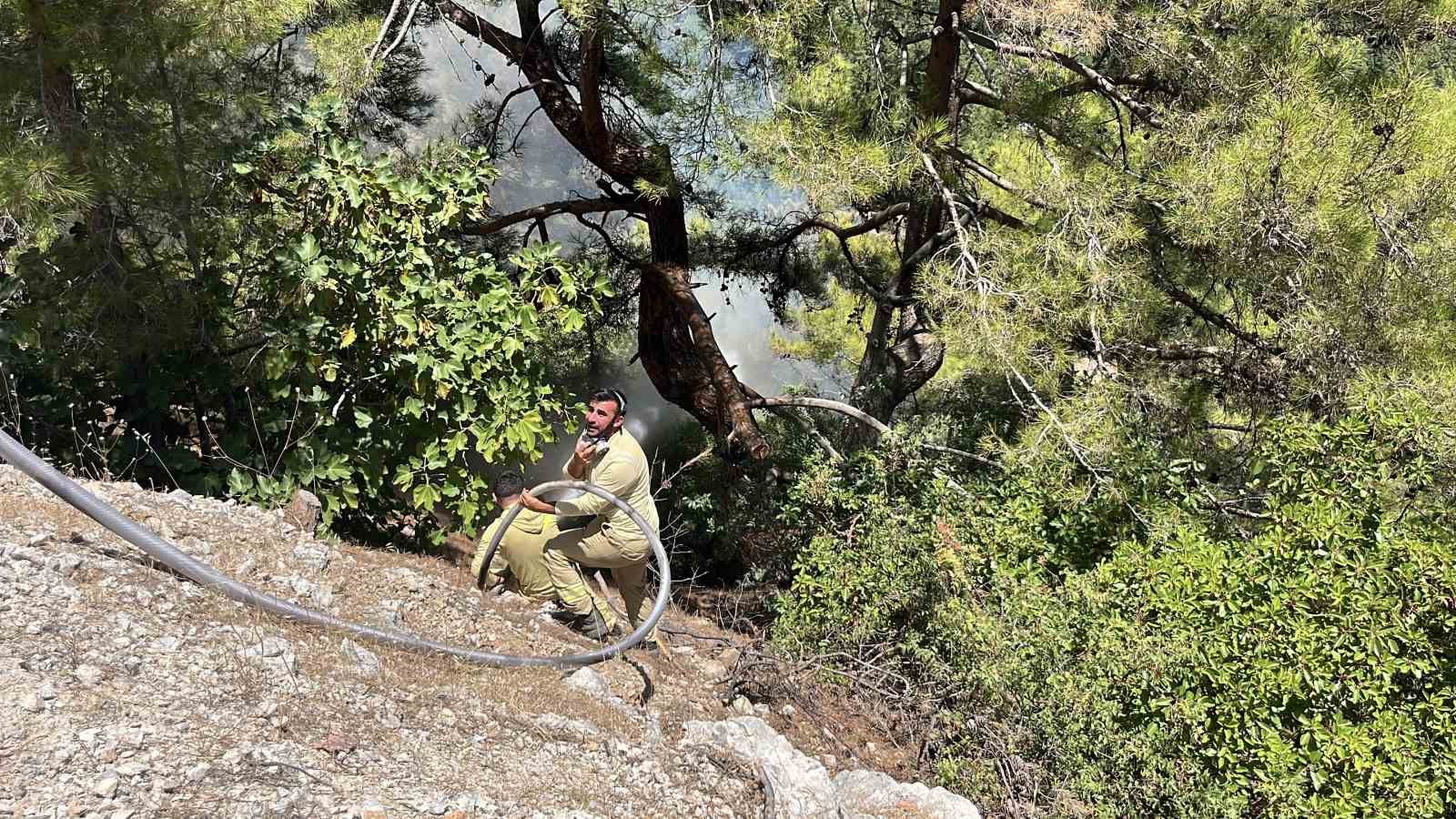 Alanya’da orman yangını