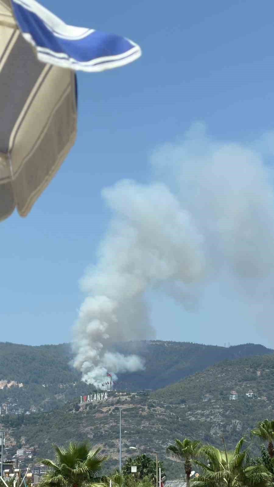 Alanya’da orman yangını