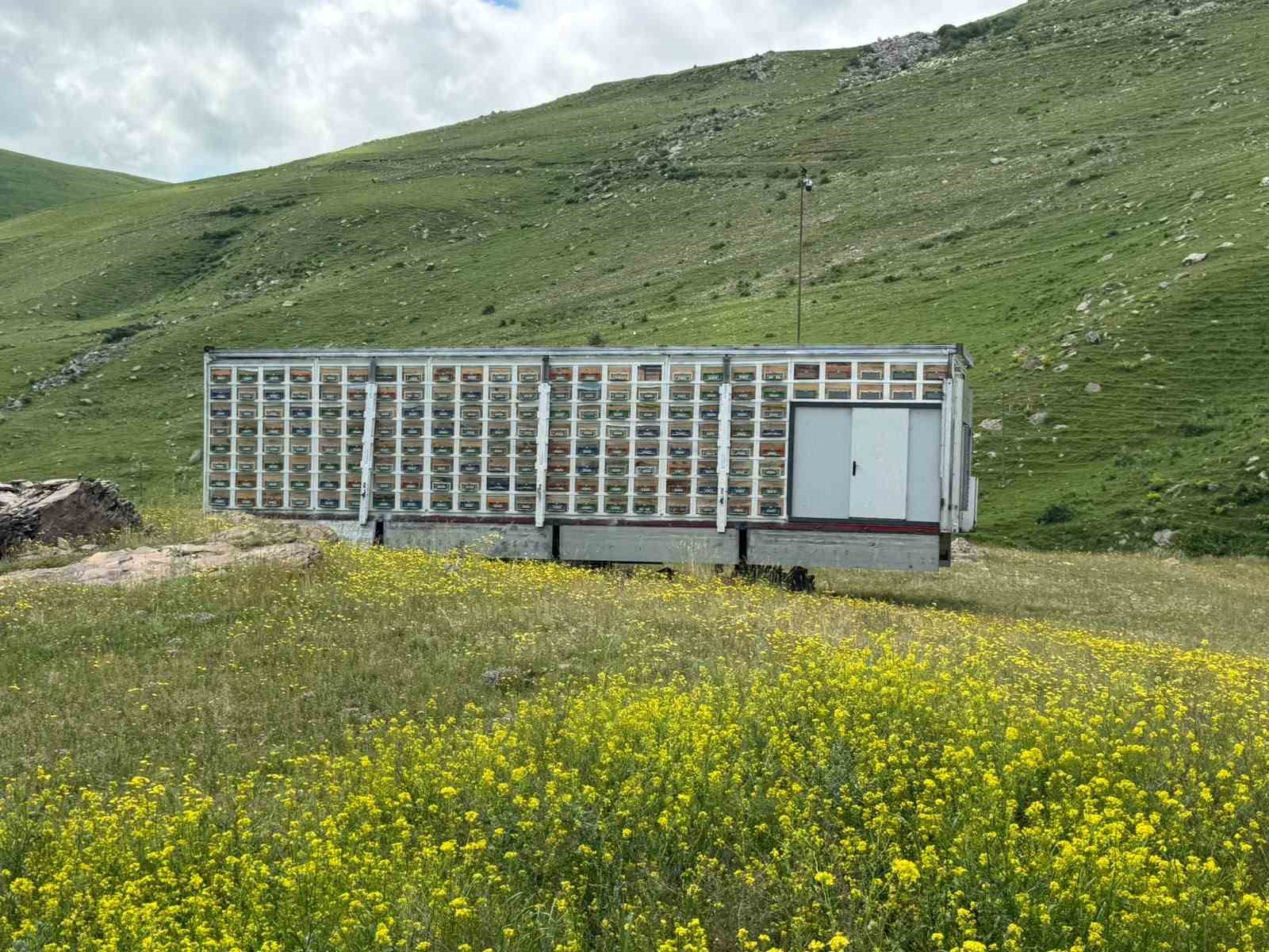 Kars’ta arıcılıkta devrim: Türkiye’nin en büyük mobil arı üretim üssü hizmete girdi