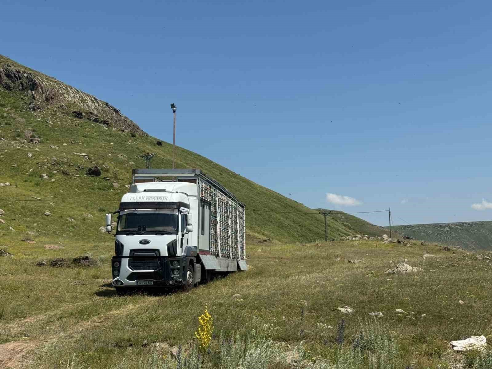 Kars’ta arıcılıkta devrim: Türkiye’nin en büyük mobil arı üretim üssü hizmete girdi