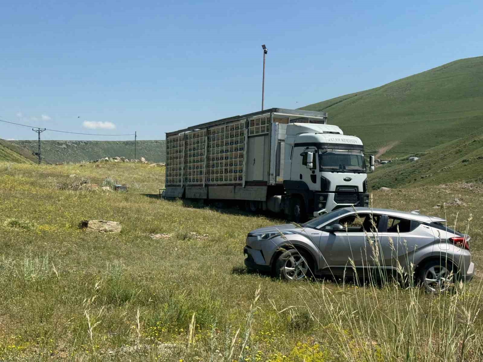 Kars’ta arıcılıkta devrim: Türkiye’nin en büyük mobil arı üretim üssü hizmete girdi