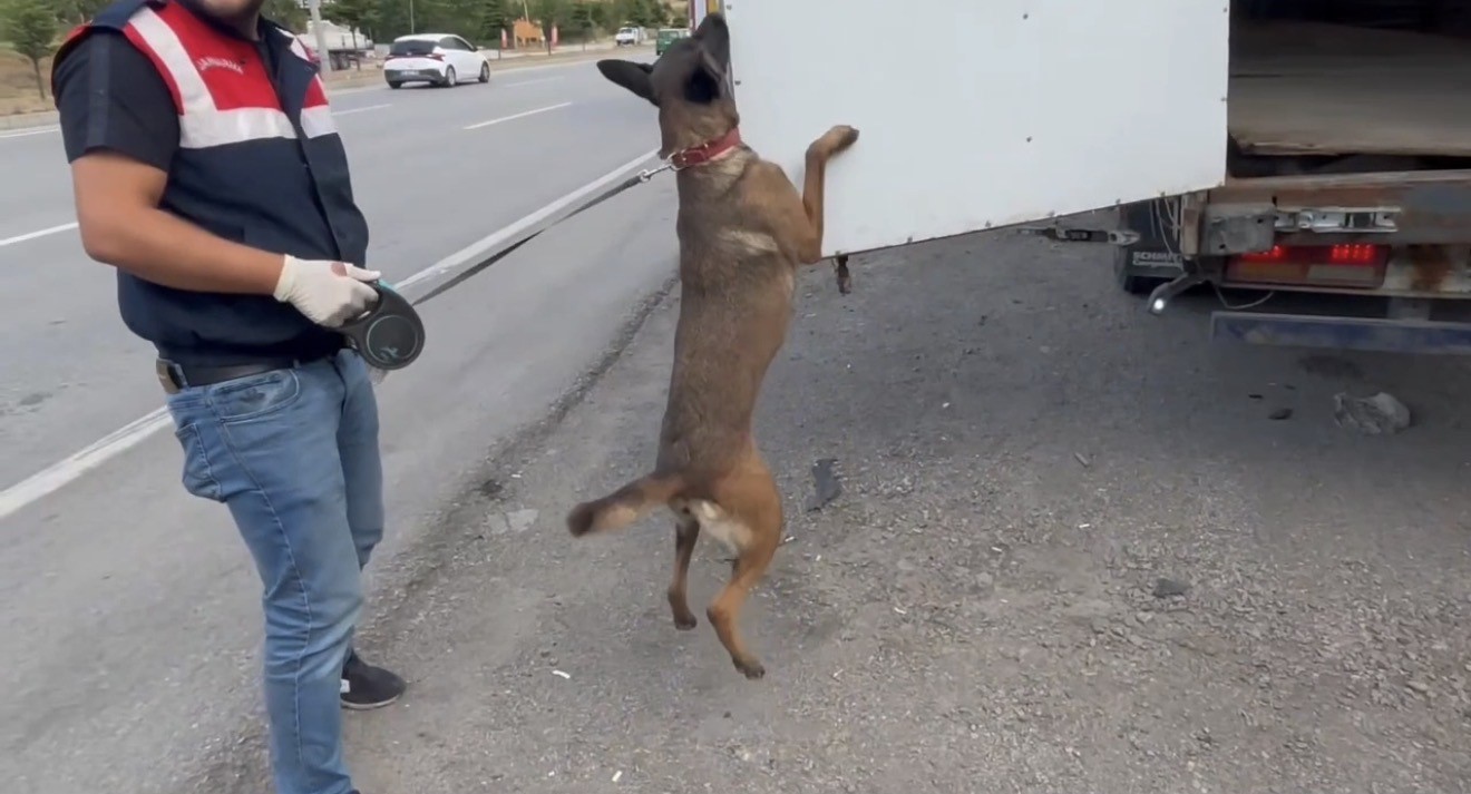 Samsun’da tıra gizlenmiş 132 kilo toz esrar ele geçirildi