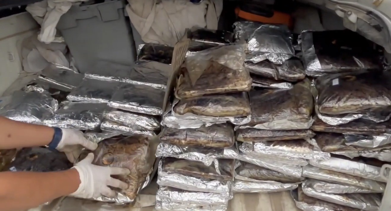 Samsun’da tıra gizlenmiş 132 kilo toz esrar ele geçirildi
