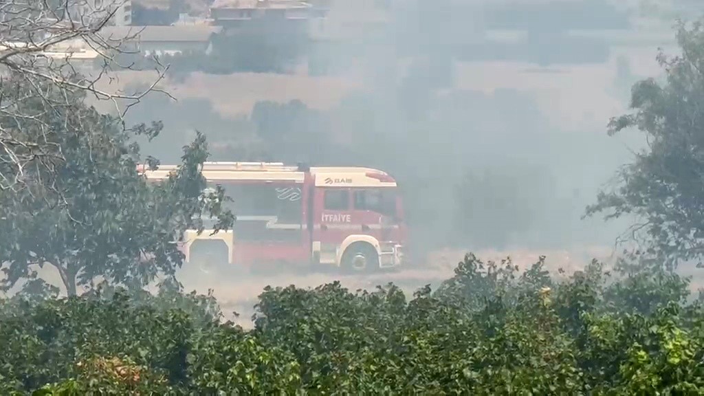 Tekirdağ’da anız yangını 100 dekarlık alana zarar verdi