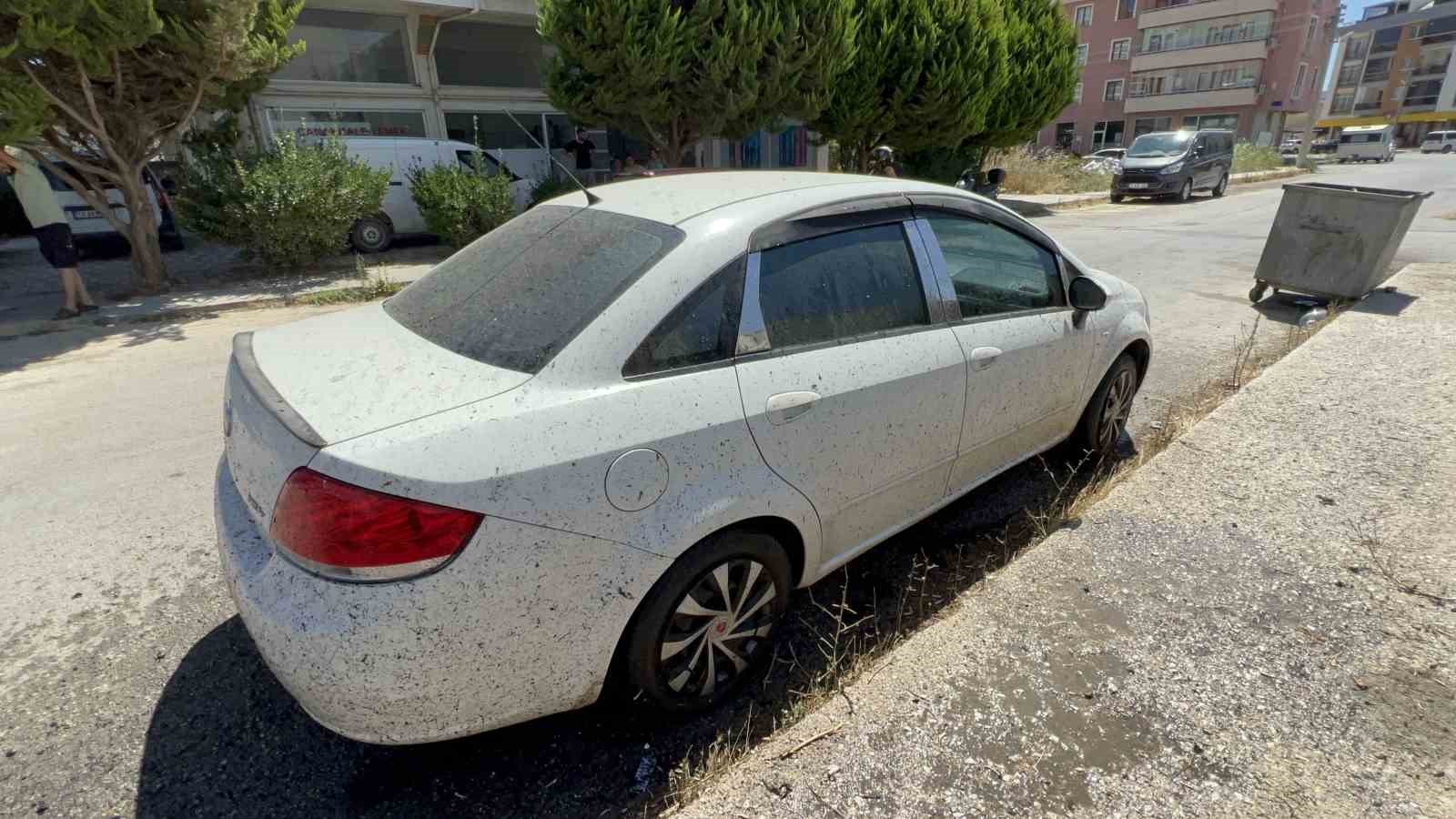 Çanakkale’de ev ve arabalar yanmaktan son anda kurtuldu