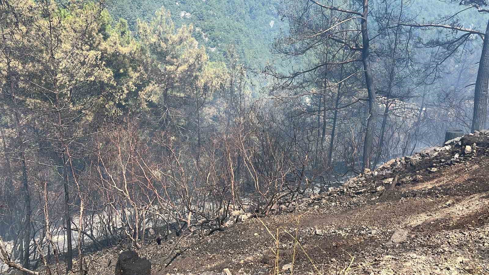Alanya’da orman yangını 3 saatte kontrol altına alındı