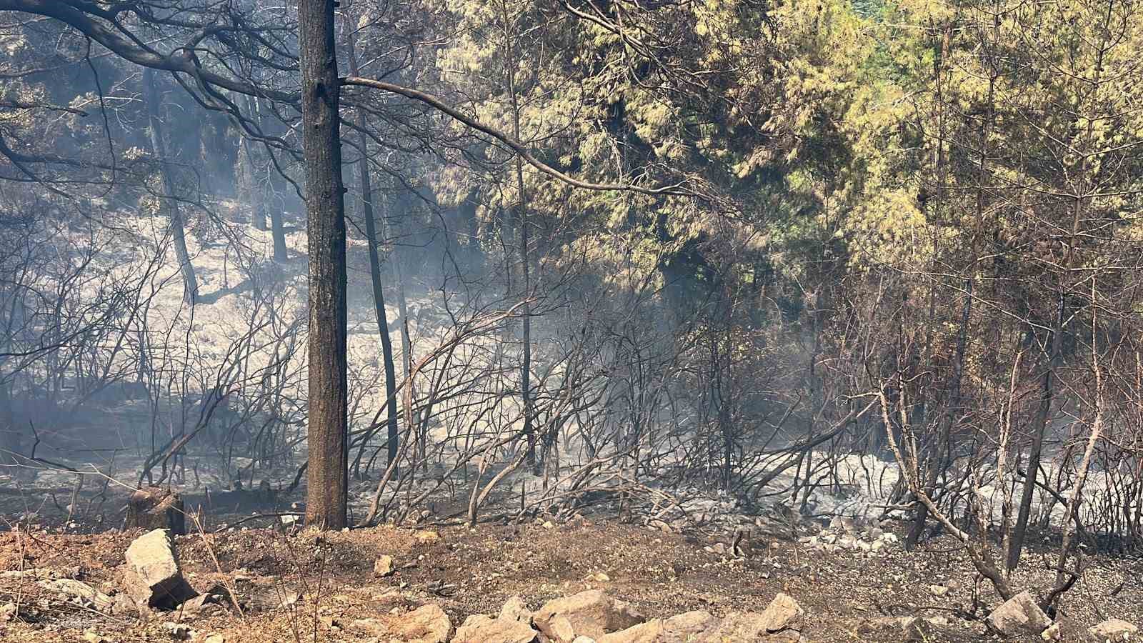 Alanya’da orman yangını 3 saatte kontrol altına alındı