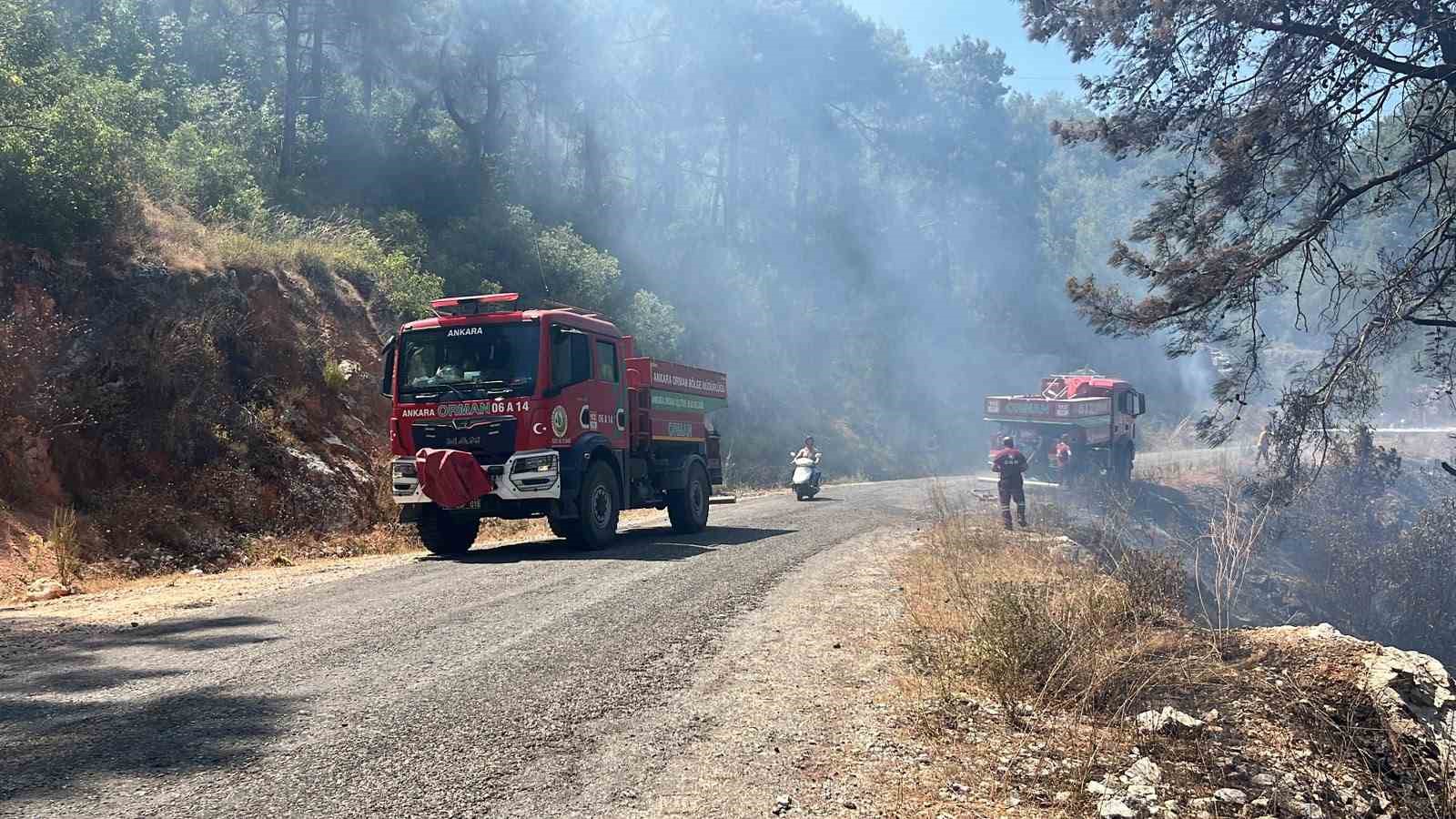Alanya’da orman yangını 3 saatte kontrol altına alındı