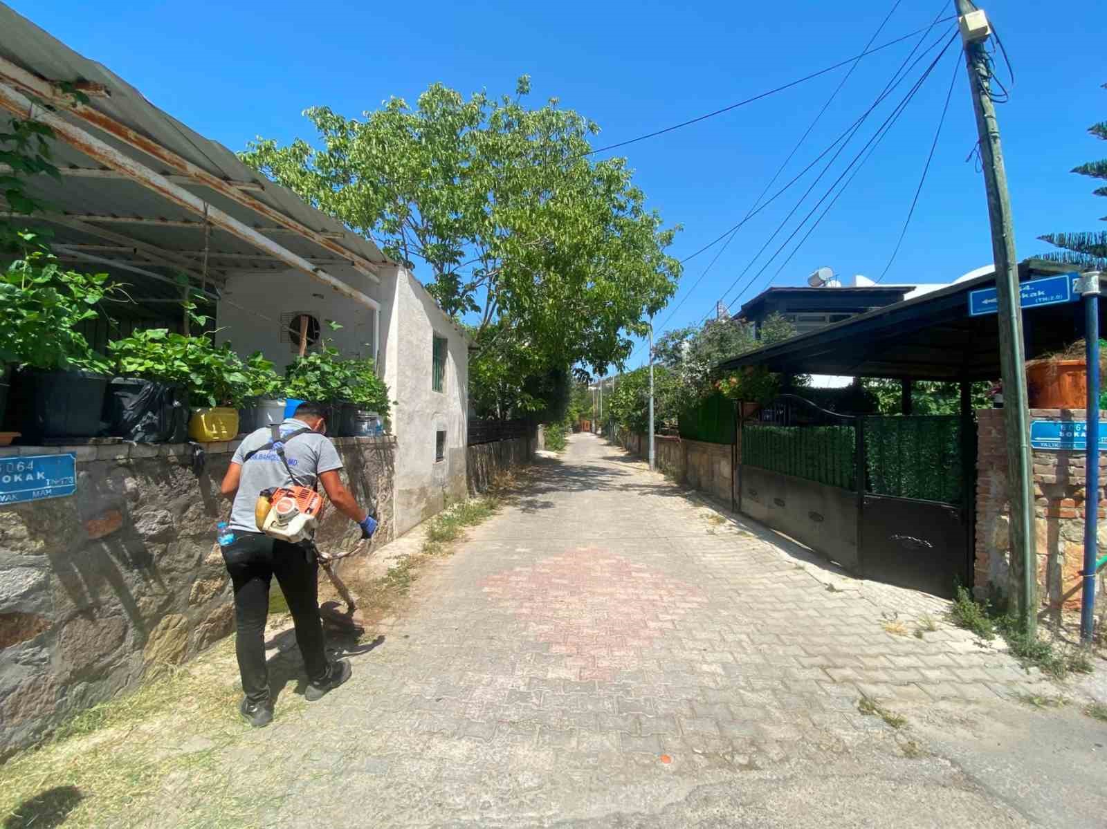 Bodrum’da ot temizliği çalışmaları sürüyor
