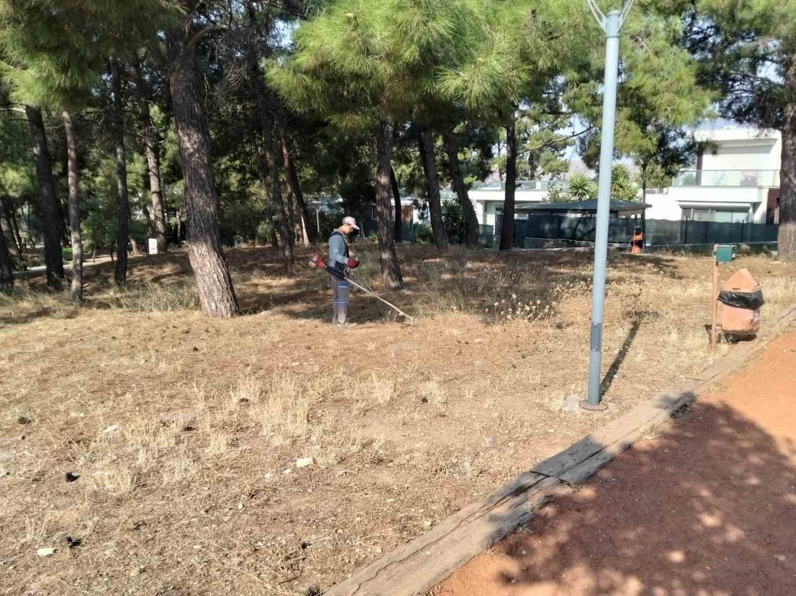Bodrum’da ot temizliği çalışmaları sürüyor