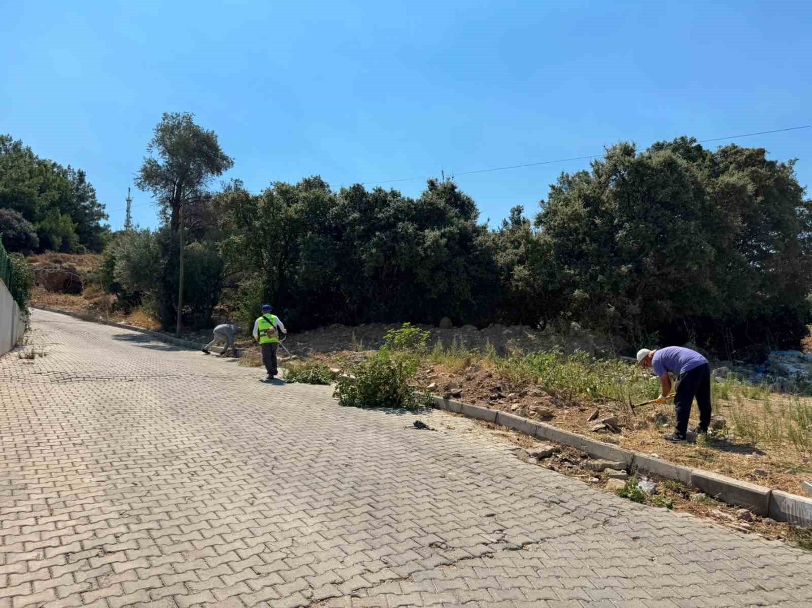 Bodrum’da ot temizliği çalışmaları sürüyor