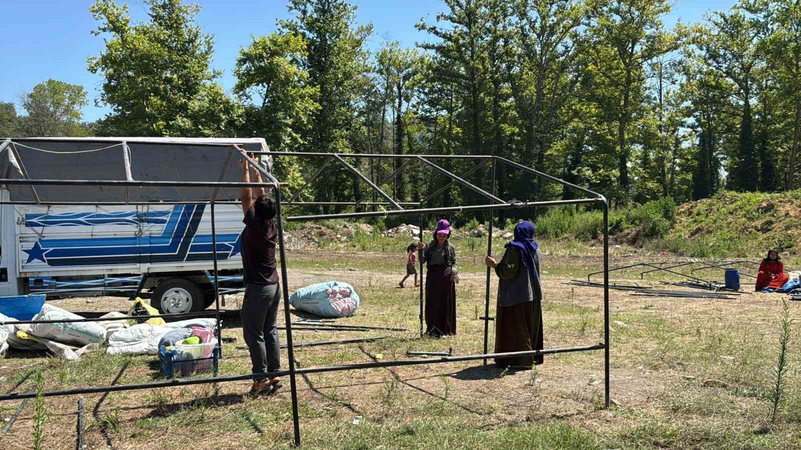 Fındık işçilerinin "Gurbet" mesaisi başladı
