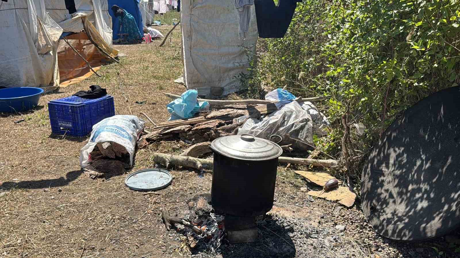 Fındık işçilerinin "Gurbet" mesaisi başladı