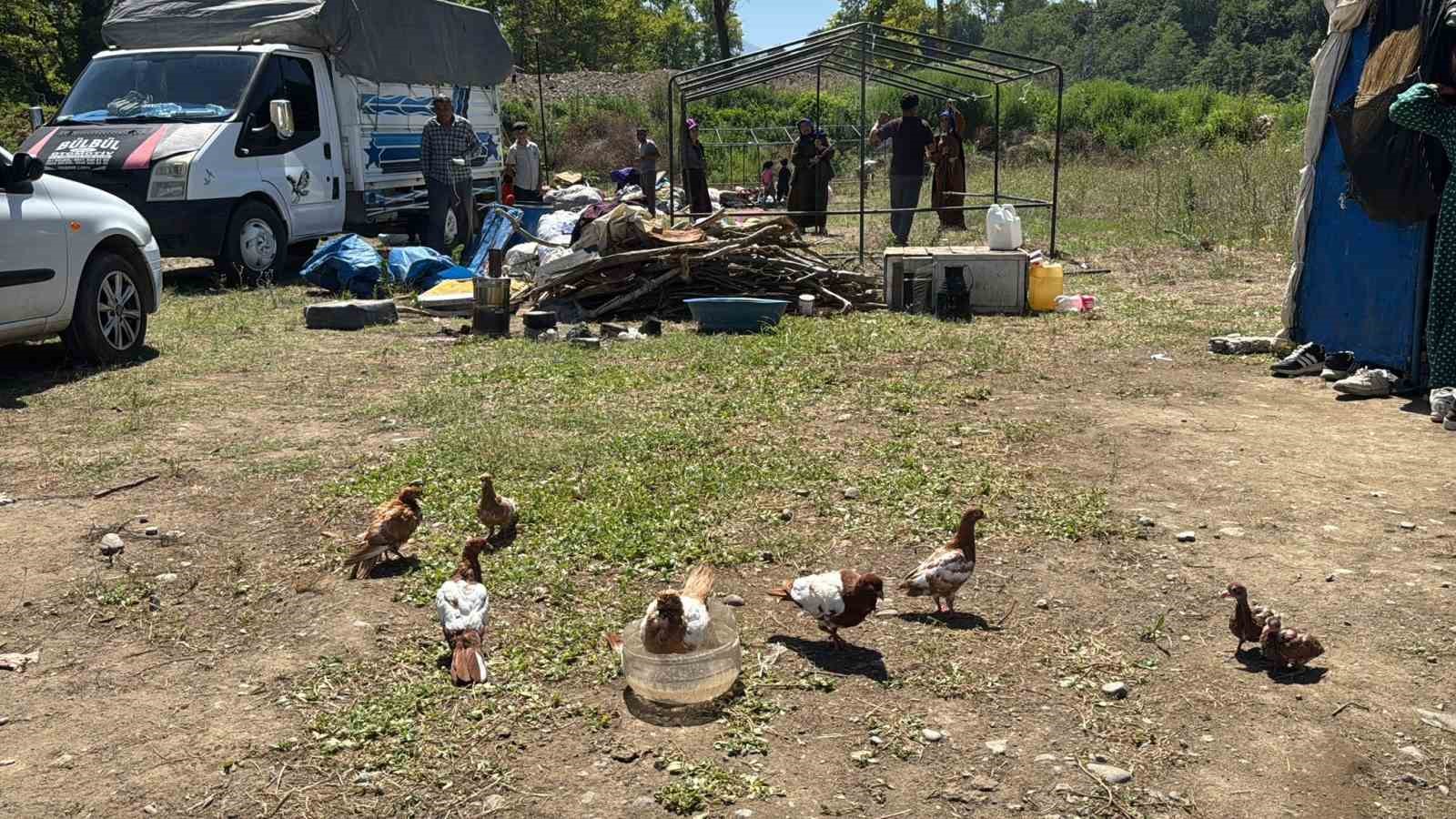 Fındık işçilerinin "Gurbet" mesaisi başladı