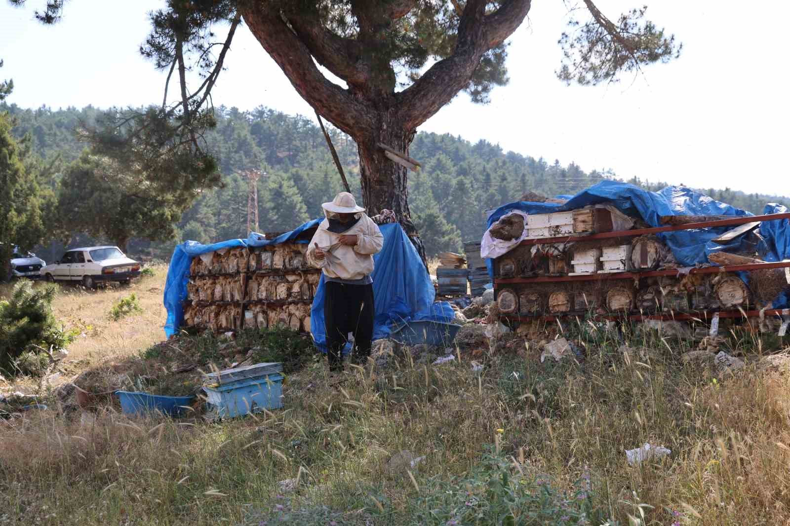 Emekli imam, Toroslar’ın zirvesinde arılarla doğal hayatı seçti