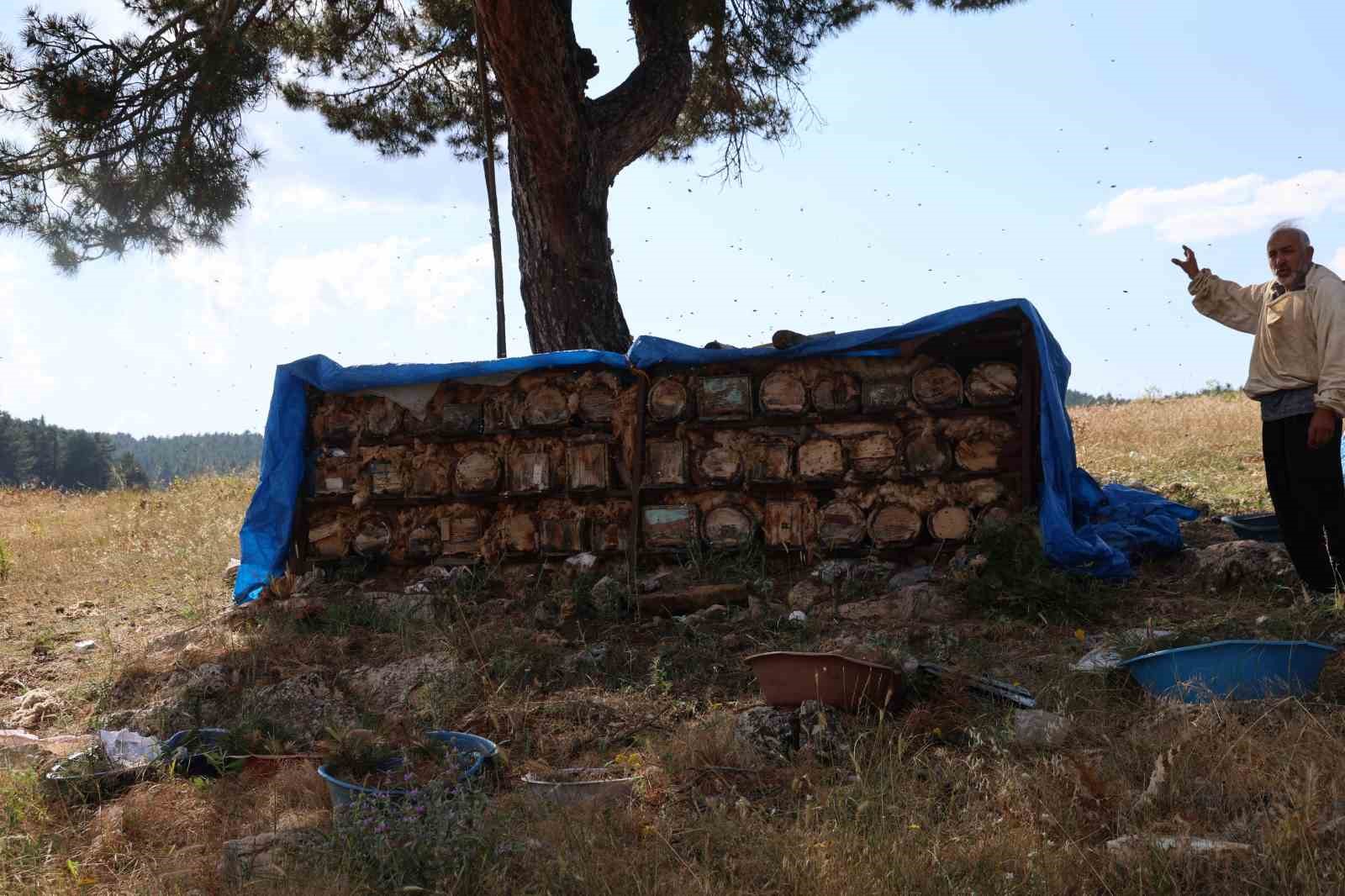 Emekli imam, Toroslar’ın zirvesinde arılarla doğal hayatı seçti