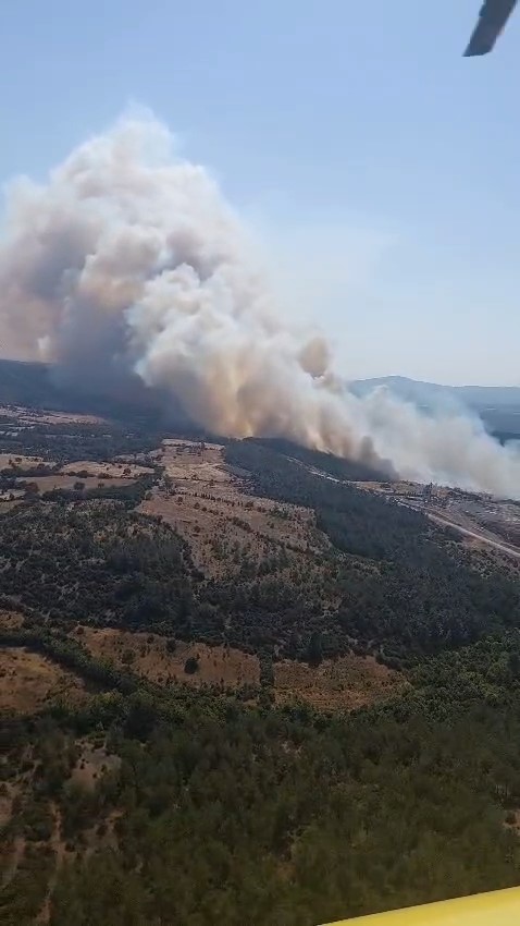 Bayramiç’te orman yangını helikopterden görüntülendi