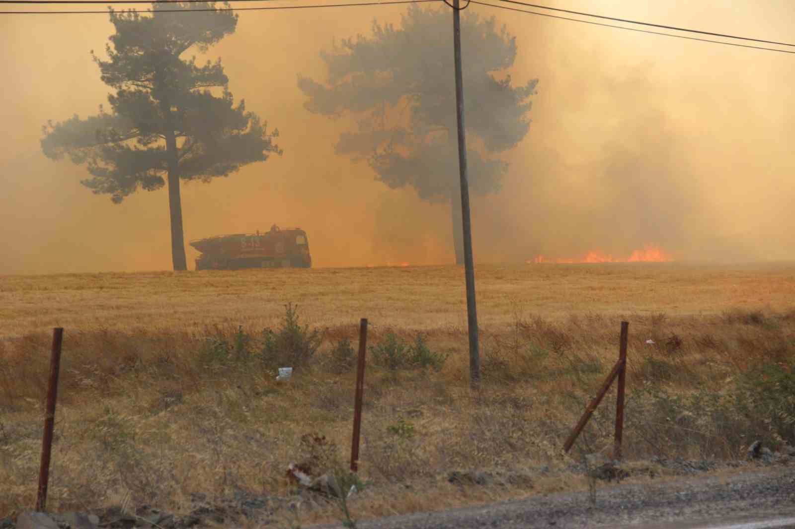 Bayramiç’te orman yangınına havadan ve karadan müdahale devam ediyor