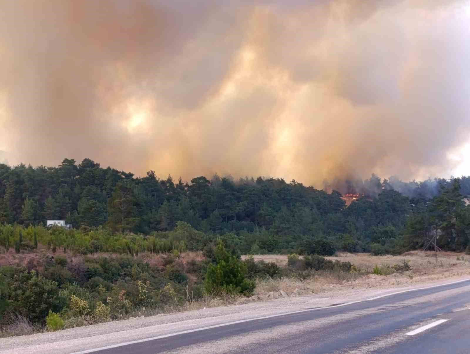 Bayramiç’te orman yangınına havadan ve karadan müdahale devam ediyor