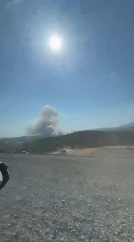 Bayramiç’te orman yangını