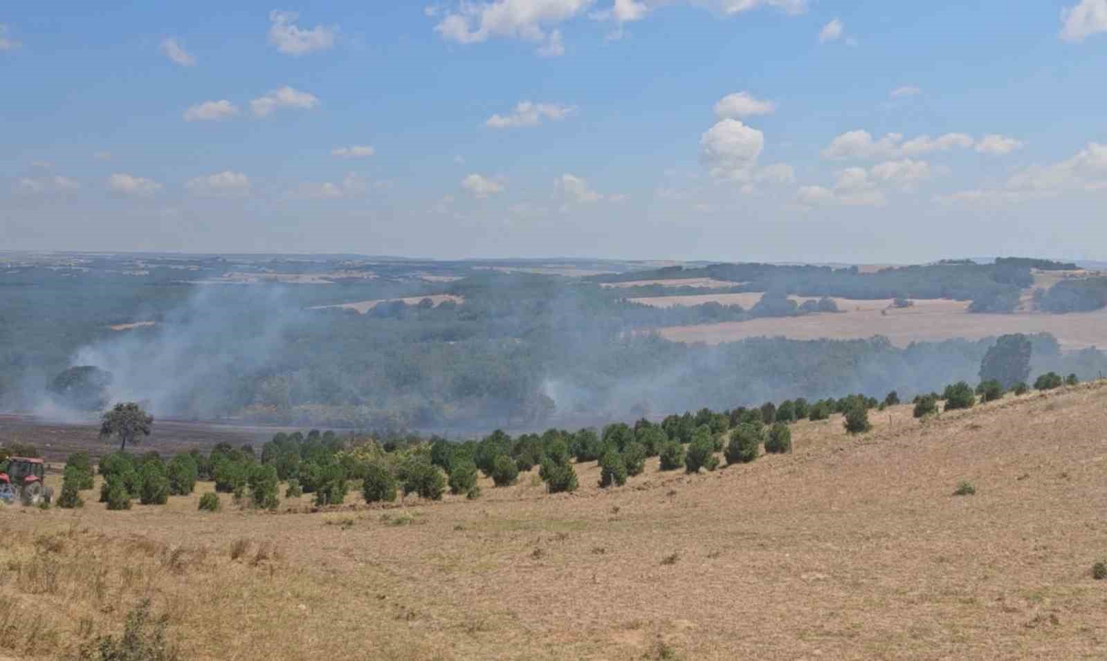 Hobi bahçesinde yakılan ateş ormanlık alana sıçradı
