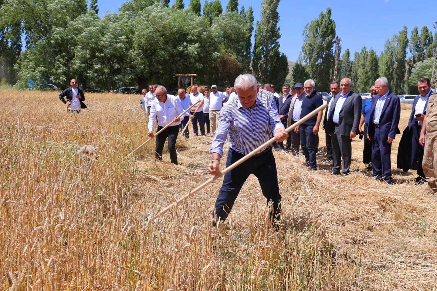 Binali Yıldırım Harman Şenliği programına katıldı