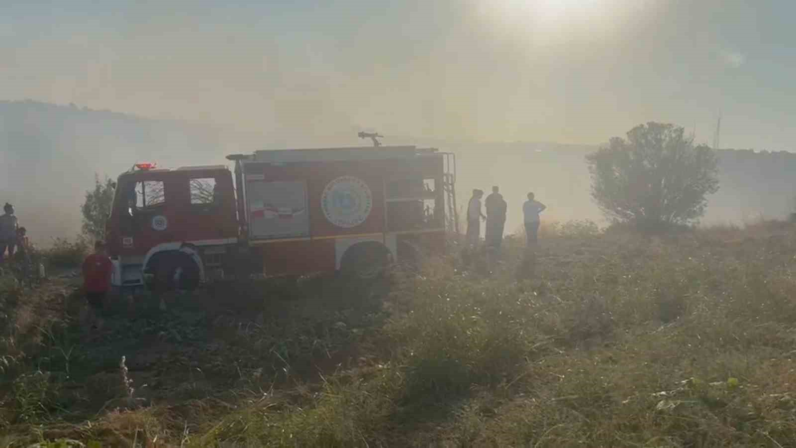 Tekirdağ’da yangında 80 dekar alan zarar gördü
