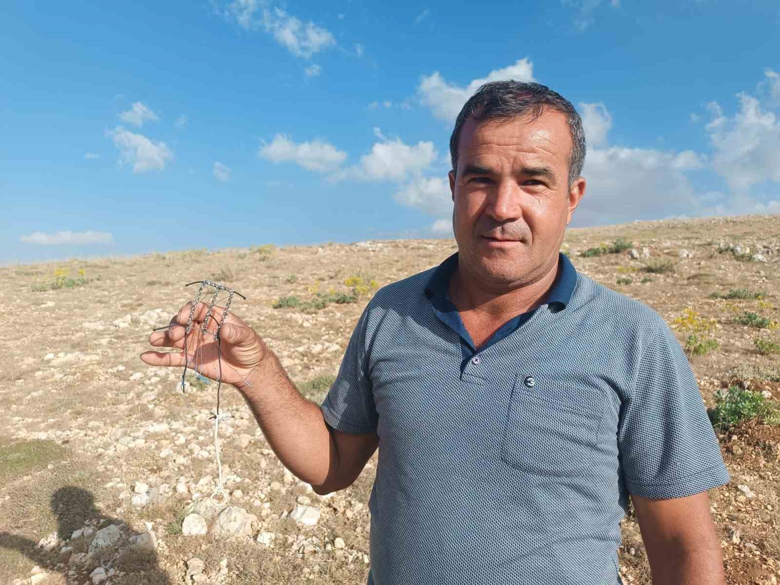 Şahin tuzağına yem amaçlı bağlanan güvercini vatandaşlar kurtardı