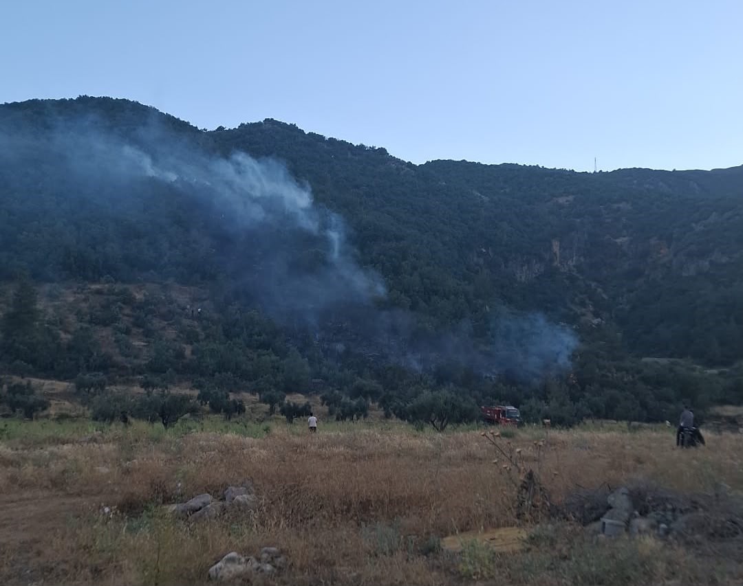 Gaziantep’te çıkan orman yangını havadan ve karadan müdahaleyle söndürüldü