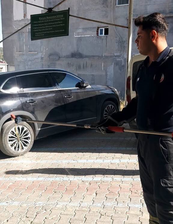 Hatay’da yerleşim alanlarına giren yılanları itfaiye yakaladı