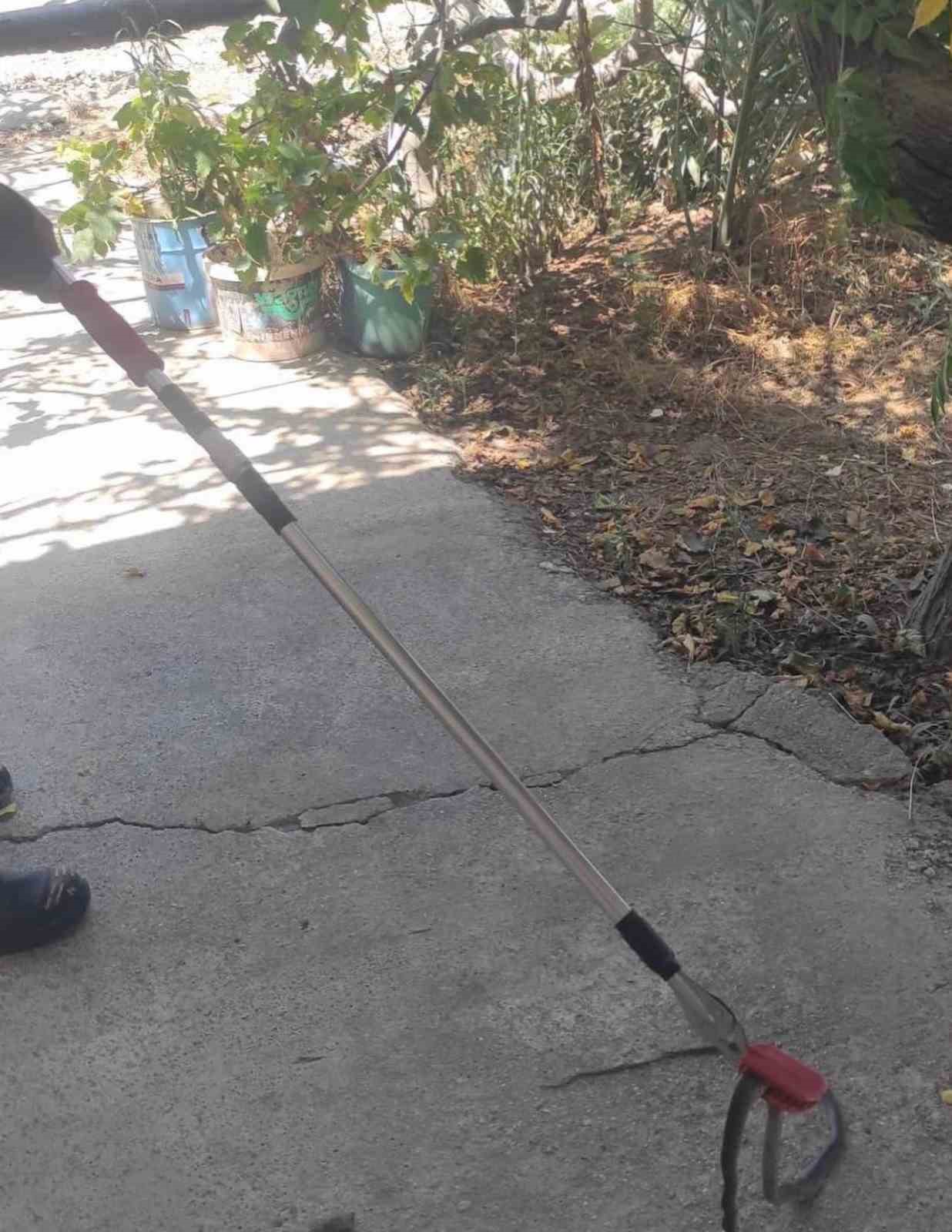 Hatay’da yerleşim alanlarına giren yılanları itfaiye yakaladı