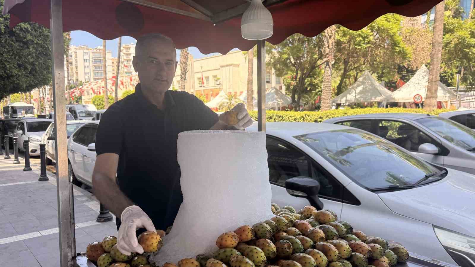 Sıcaklarla birlikte dikenli incir satışları arttı