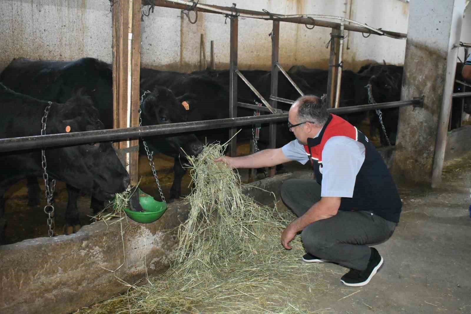 Kırsalda Bereket Projesi kapsamında üreticilerle bir araya gelindi