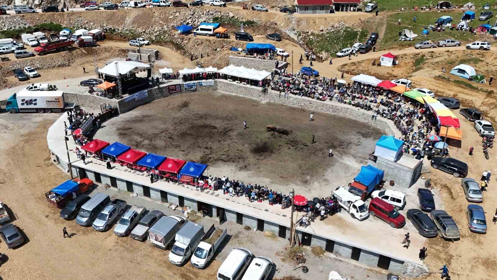 3 Bin rakımdaki Salikvan Yaylası’nda boğa güreşleri nefes kesti
