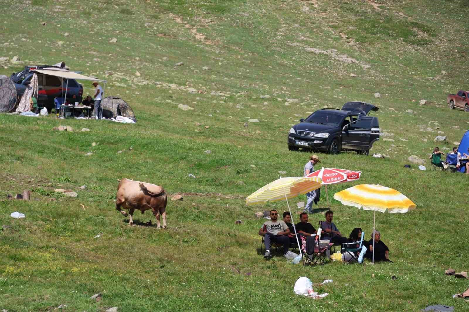 3 Bin rakımdaki Salikvan Yaylası’nda boğa güreşleri nefes kesti