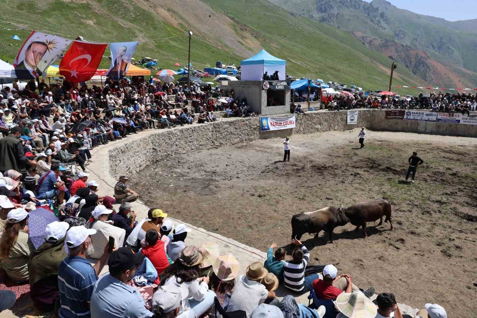 3 Bin rakımdaki Salikvan Yaylası’nda boğa güreşleri nefes kesti