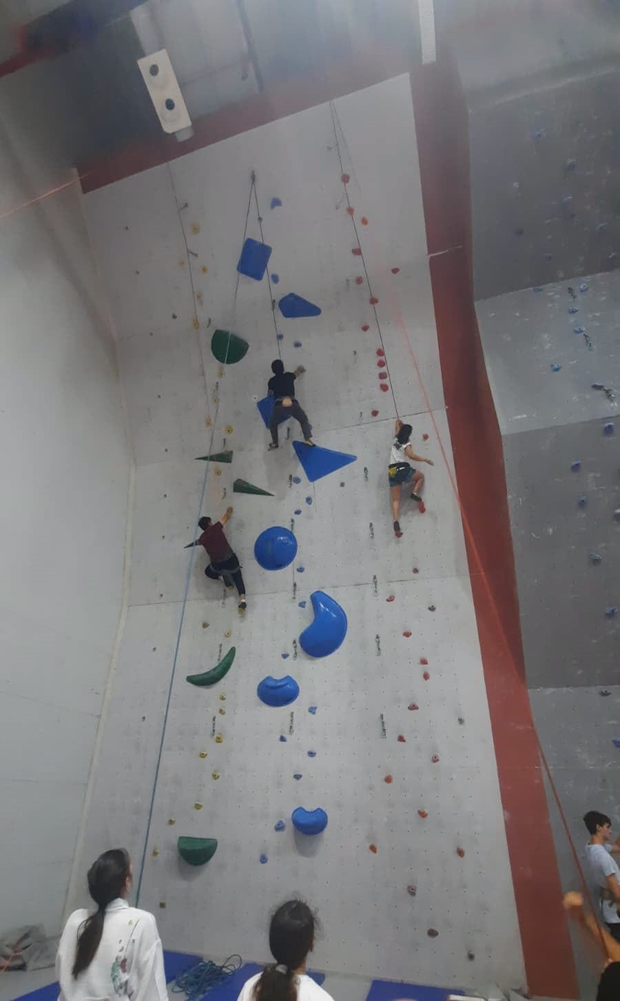 Kayserili 29 sporcu spor tırmanışta ileri seviye eğitim hakkı kazandı