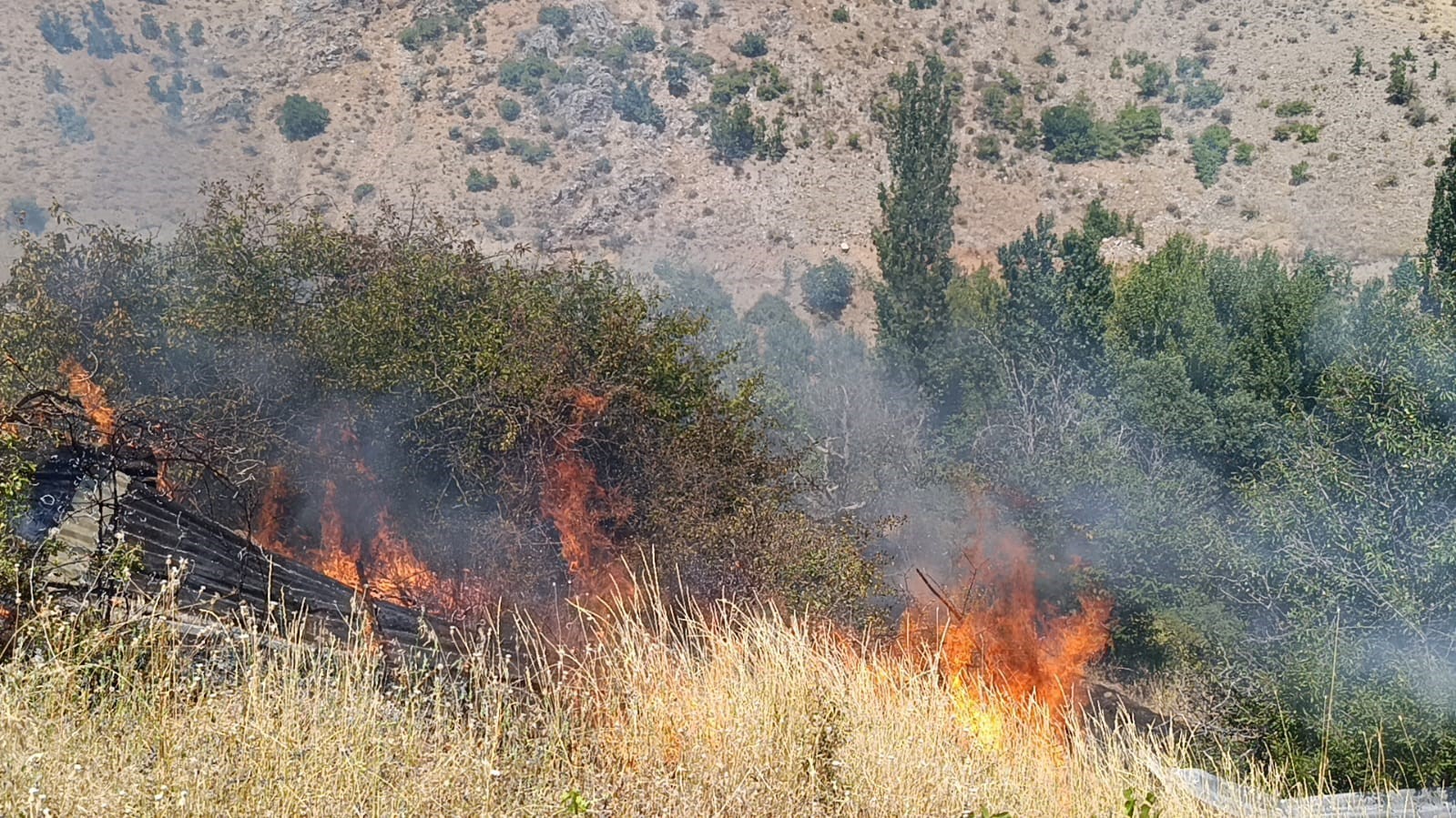 Malatya’da meyve bahçesi ve üzüm bağlarında yangın