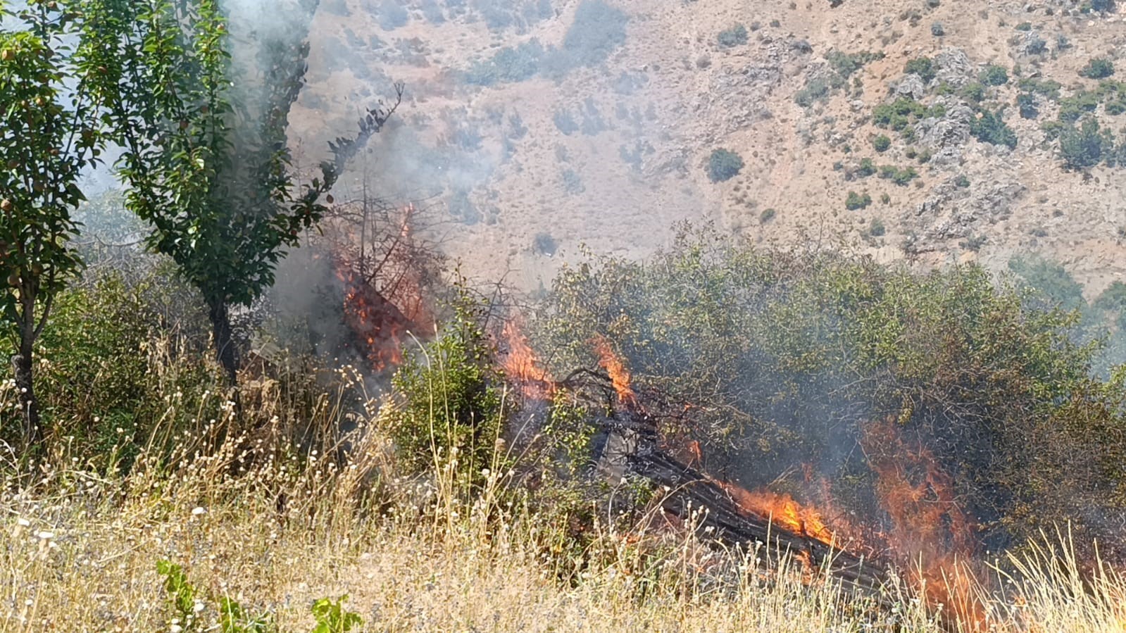Malatya’da meyve bahçesi ve üzüm bağlarında yangın