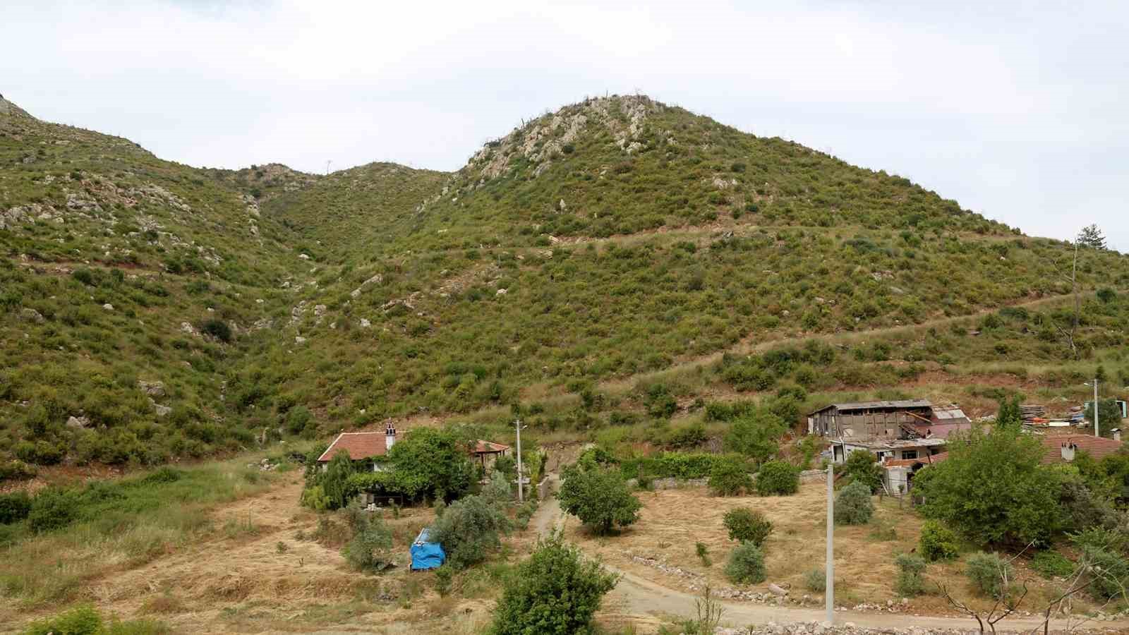 Kara tablo 5 yılda yeşile döndü