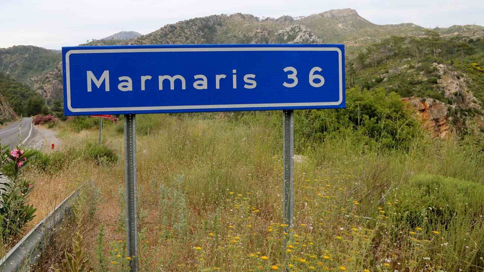Kara tablo 5 yılda yeşile döndü