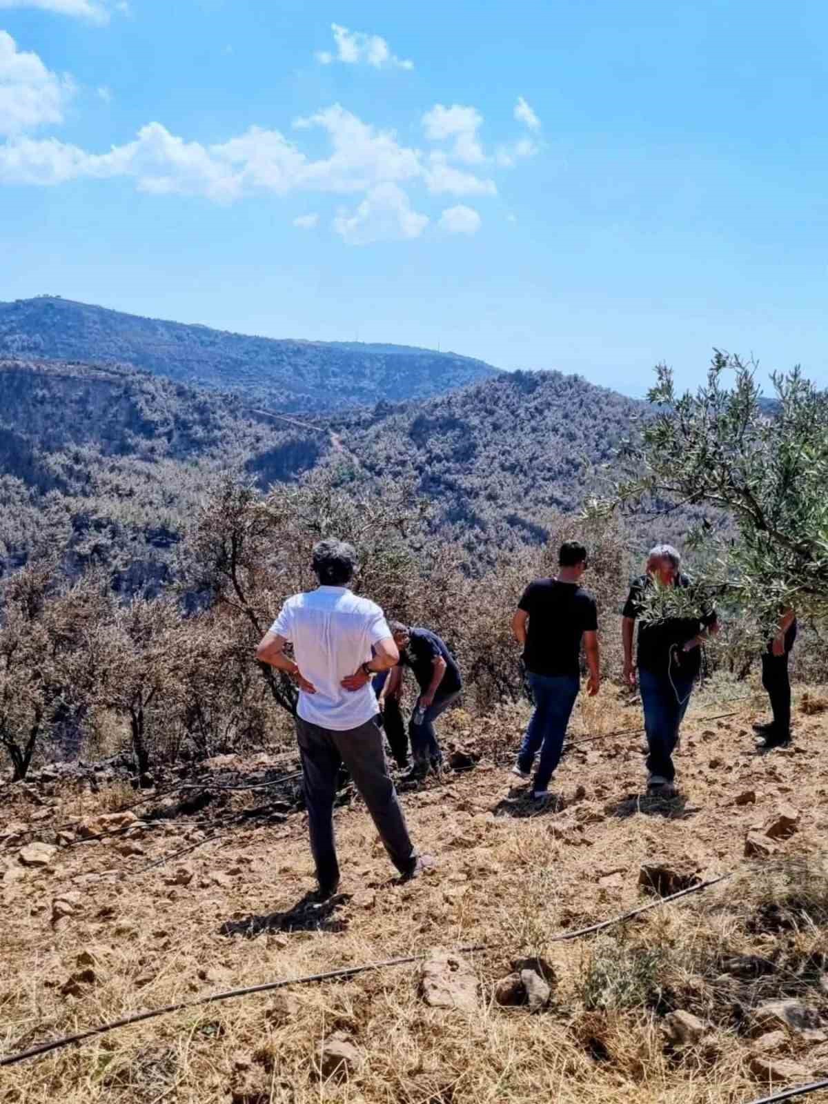 Gömeç’te hasar tespit çalışmalarına başlandı