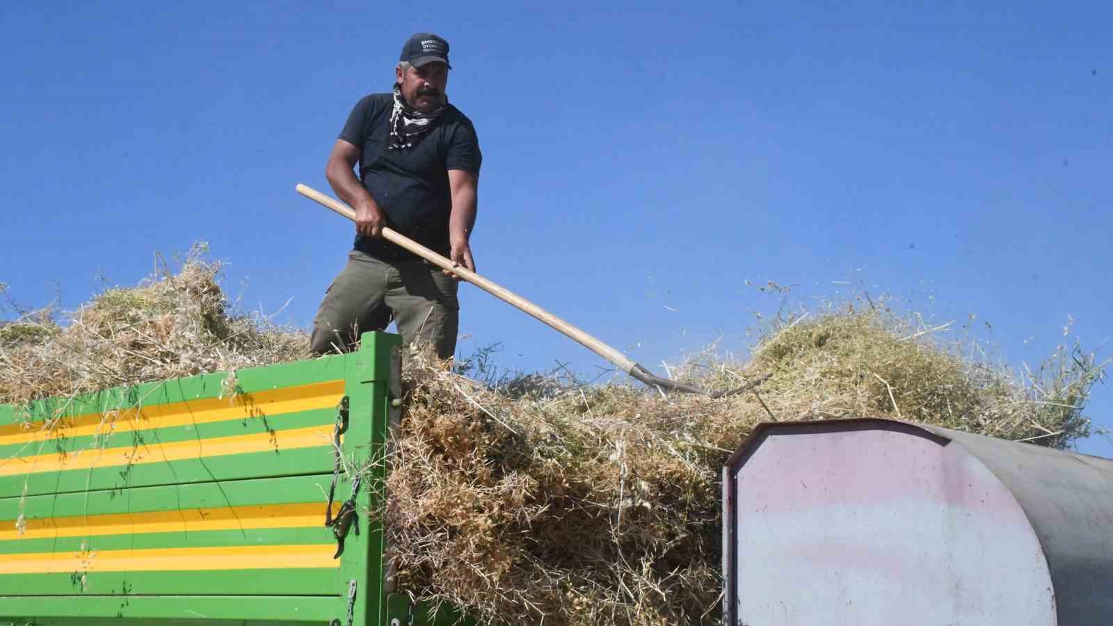 Yozgat’ta mercimek hasadının ardından patoz mesaisi başladı