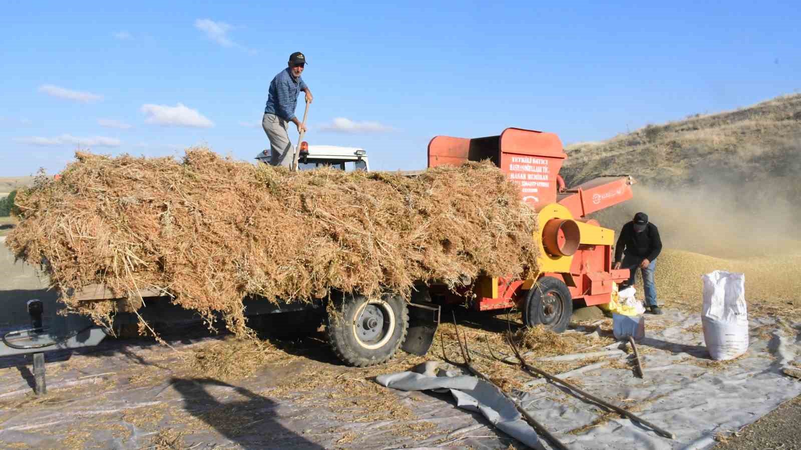 Yozgat’ta mercimek hasadının ardından patoz mesaisi başladı