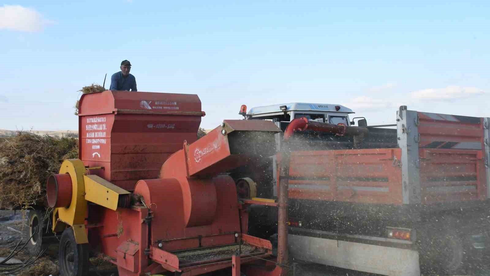 Yozgat’ta mercimek hasadının ardından patoz mesaisi başladı