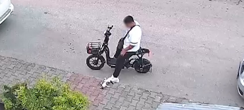 Yavru kediyi önce öptü, sonra boğdu