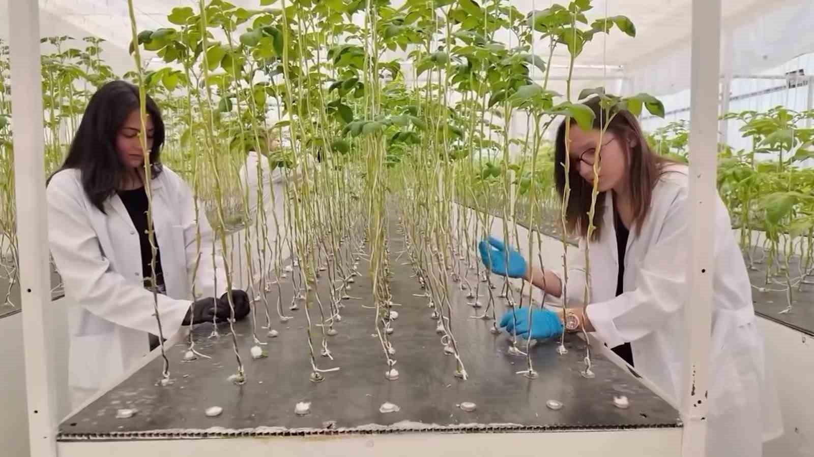 NÖHÜ’de tarımın geleceği teknolojiyle şekilleniyor