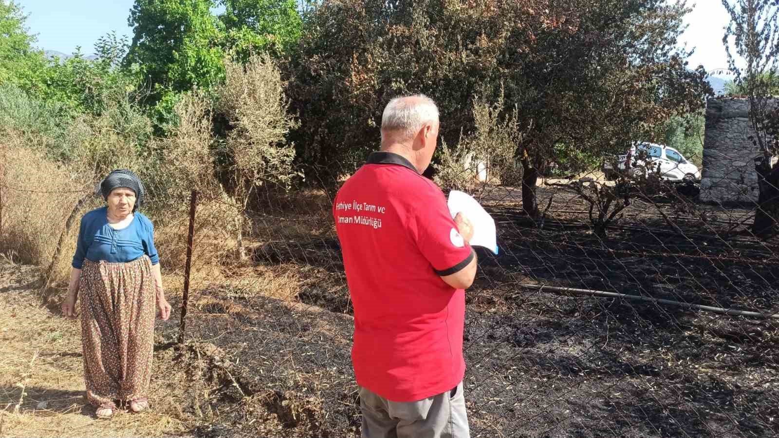 Muğla’da yangınların ardından hasar tespit çalışmaları sürüyor