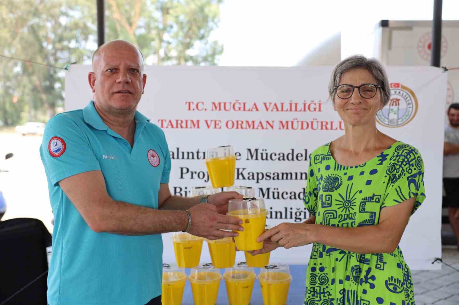 Turunçgil üreticilerine 8 bin Akdeniz Meyve Sineği tuzağı dağıtıldı