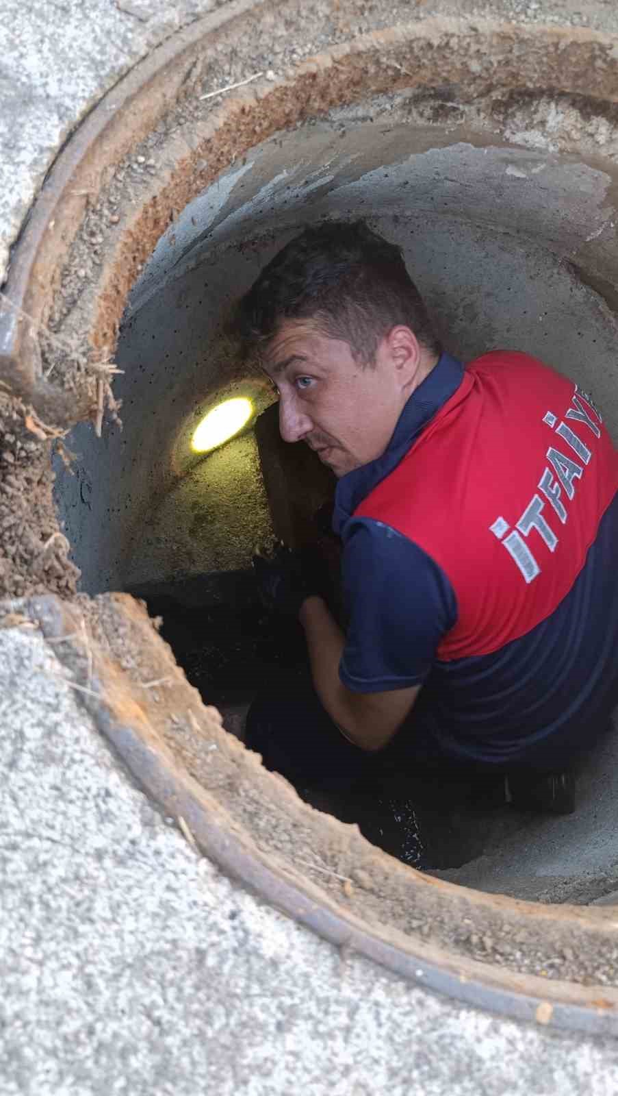 Kanalizasyon borusuna sıkışan yavru kedi kurtarıldı
